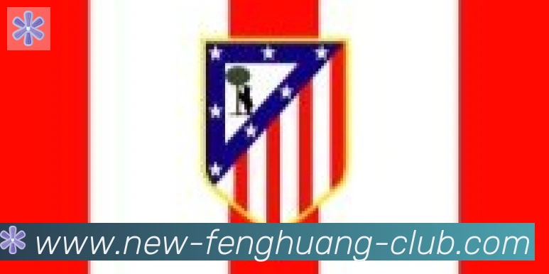 凤凰体育合作伙伴